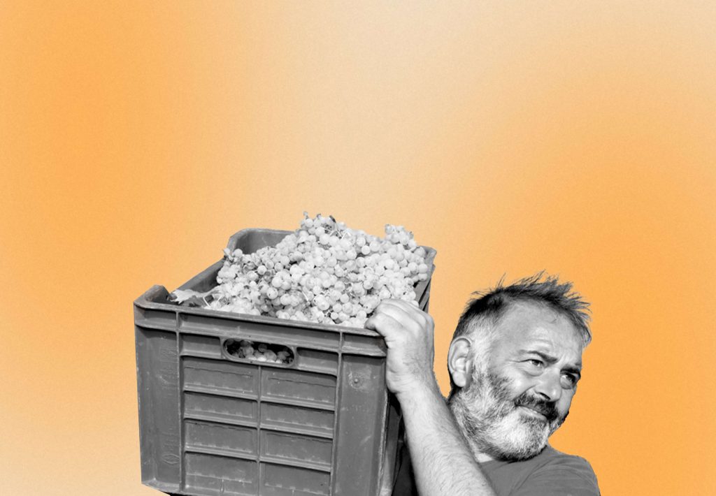 Cuscinetti Sterzo 10 Teste Di Vite In Stile Indiano Sud-Ovest - Foto 10